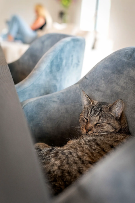 Moderne keuken in De Lier | HV Keukens